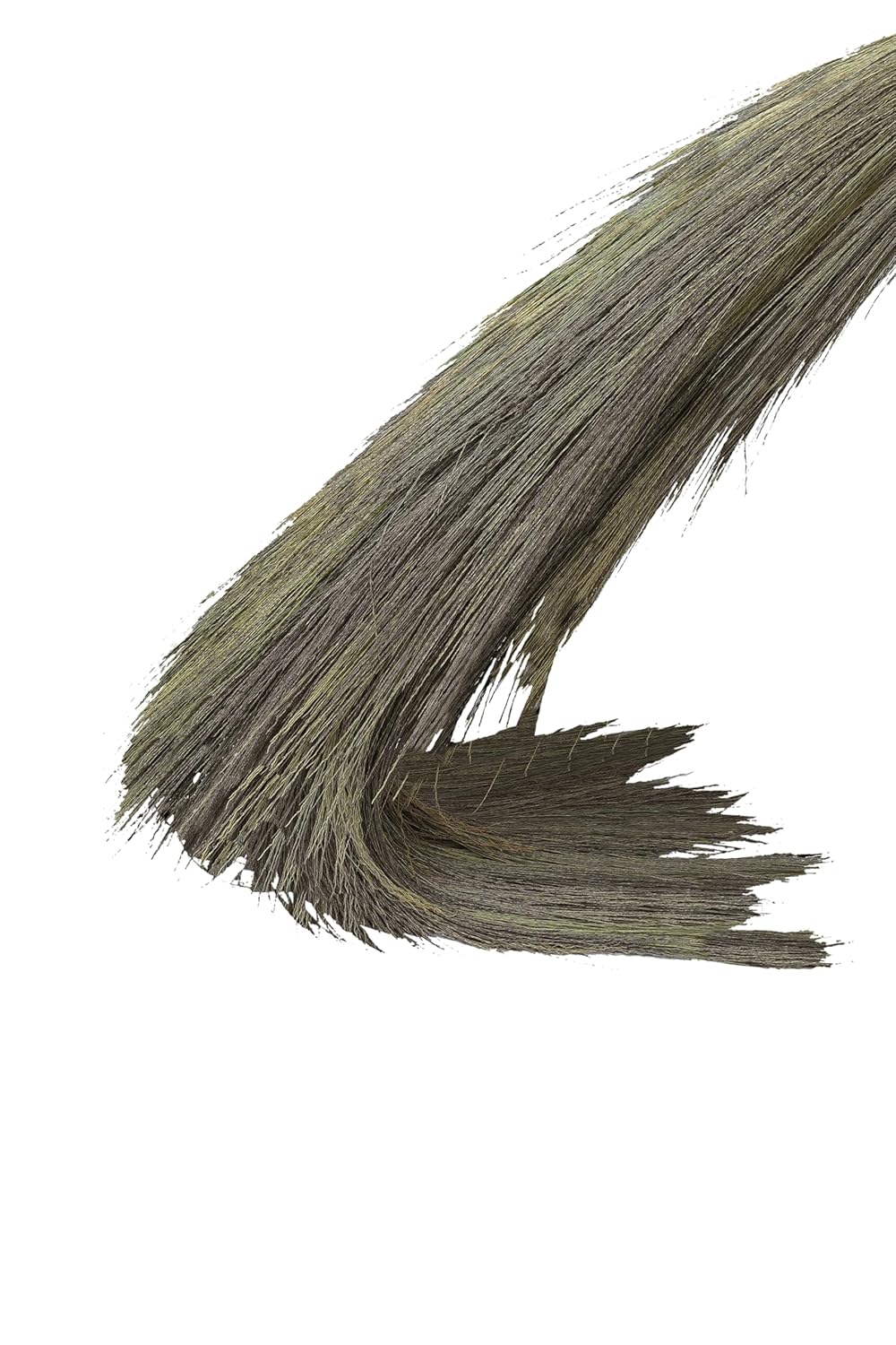 SHAGUN Premium Grass Broom with Long Handle – Soft Natural Bristles for Efficient Cleaning