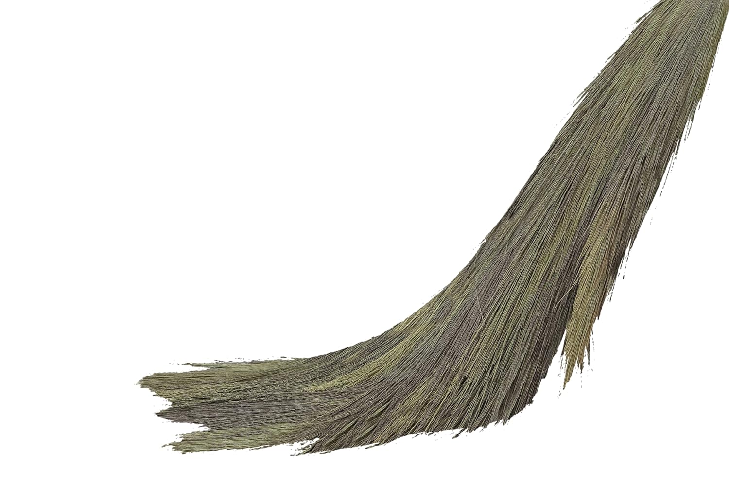 SHAGUN Premium Grass Broom with Long Handle – Soft Natural Bristles for Efficient Cleaning